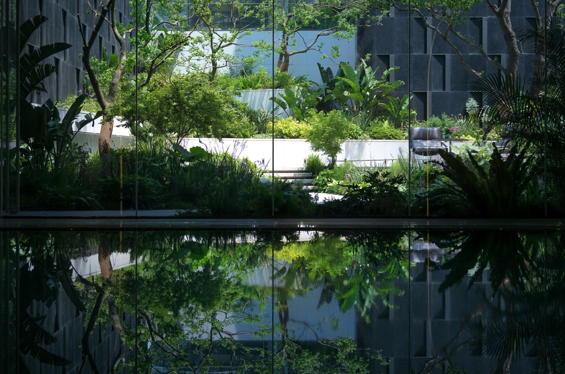 香港置地·元庐 实景图